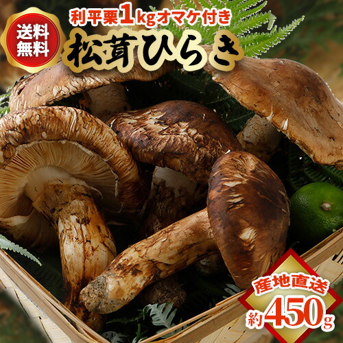 楽天市場】10月分予約 【全額返金】国産 松茸 ひらき 約450g前後 4?8本