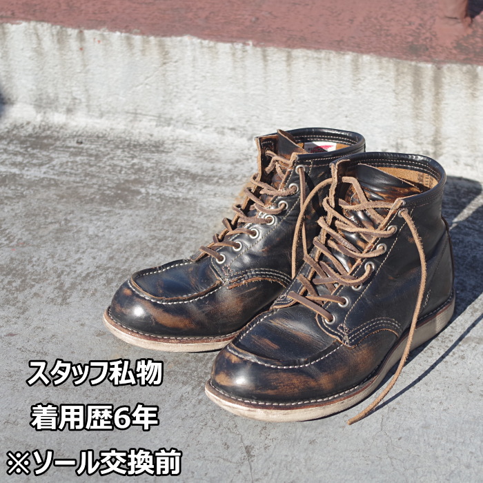 RED WING アイリッシュセッター犬タグ 9874 REDWING レッドウイング