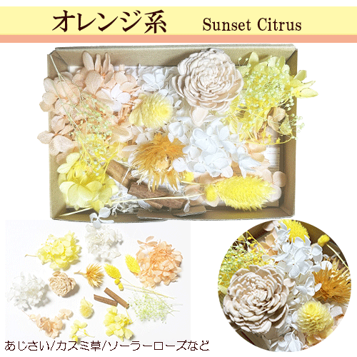 楽天市場】＼10%OFF／ プリザーブドフラワー 花材 【送料無料】キット