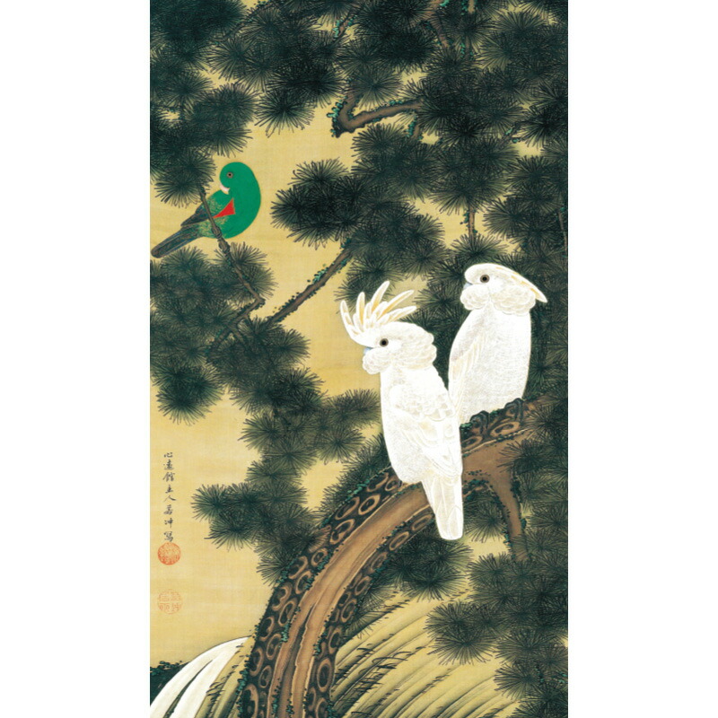 楽天市場】伊藤若冲 動植綵絵 老松鸚鵡図 高級仕様 額 美術品