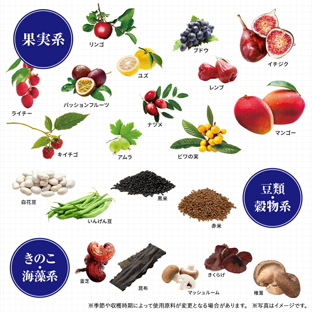 楽天市場】【公式】 酵素 × 酵母 イースト × エンザイム ダイエット