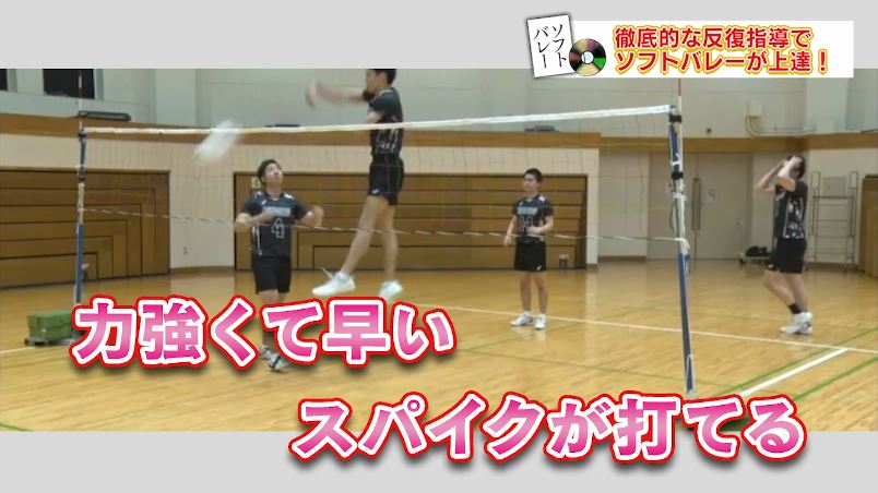 楽天市場】ソフトバレーボール上達革命 DVD〜ソフトバレーボール連盟副