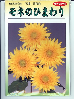 楽天市場】ひまわりの種 サカタのタネ モネのひまわり ＜サカタの