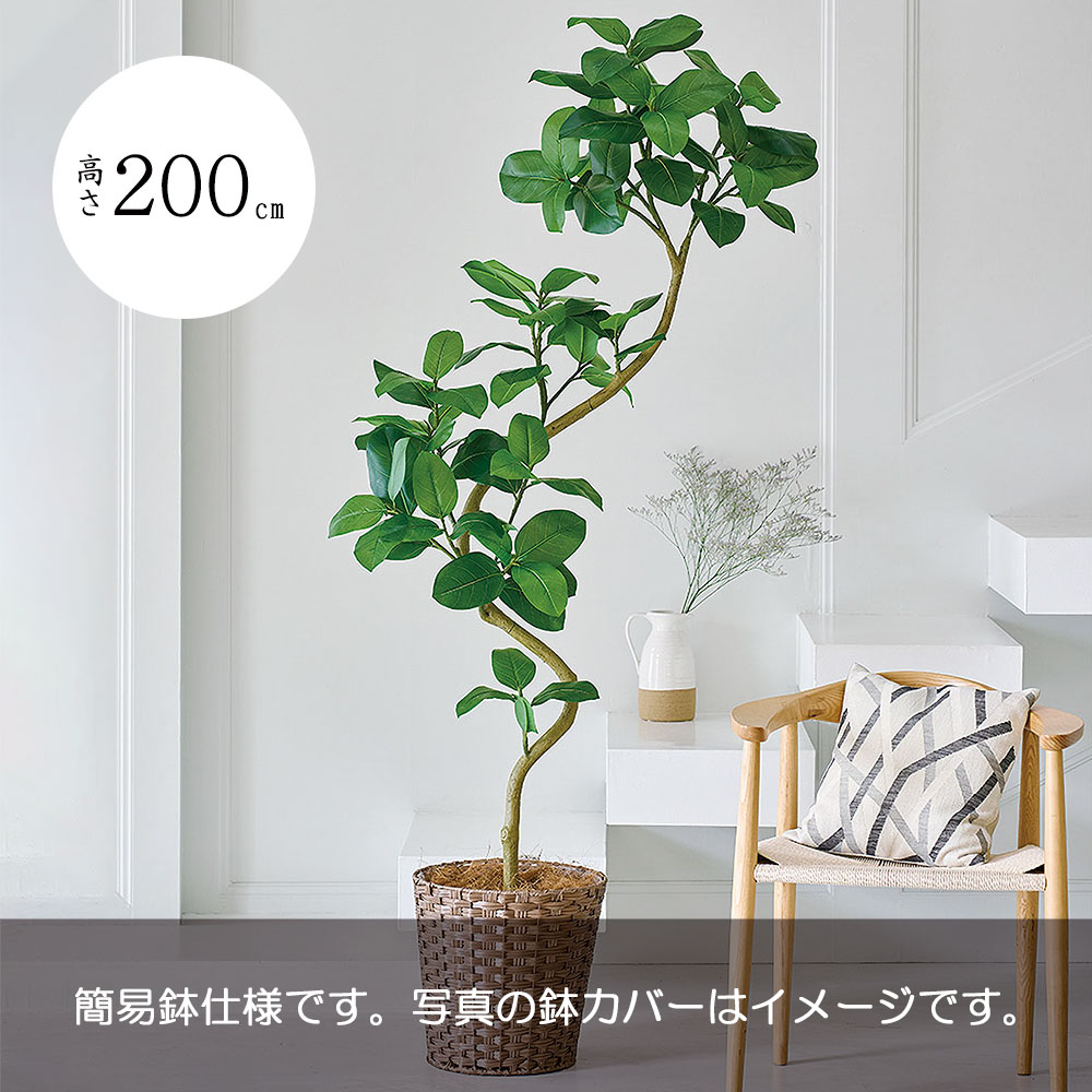 楽天市場】アルテシマ おしゃれ 大型 人気 フェイクグリーン リアル