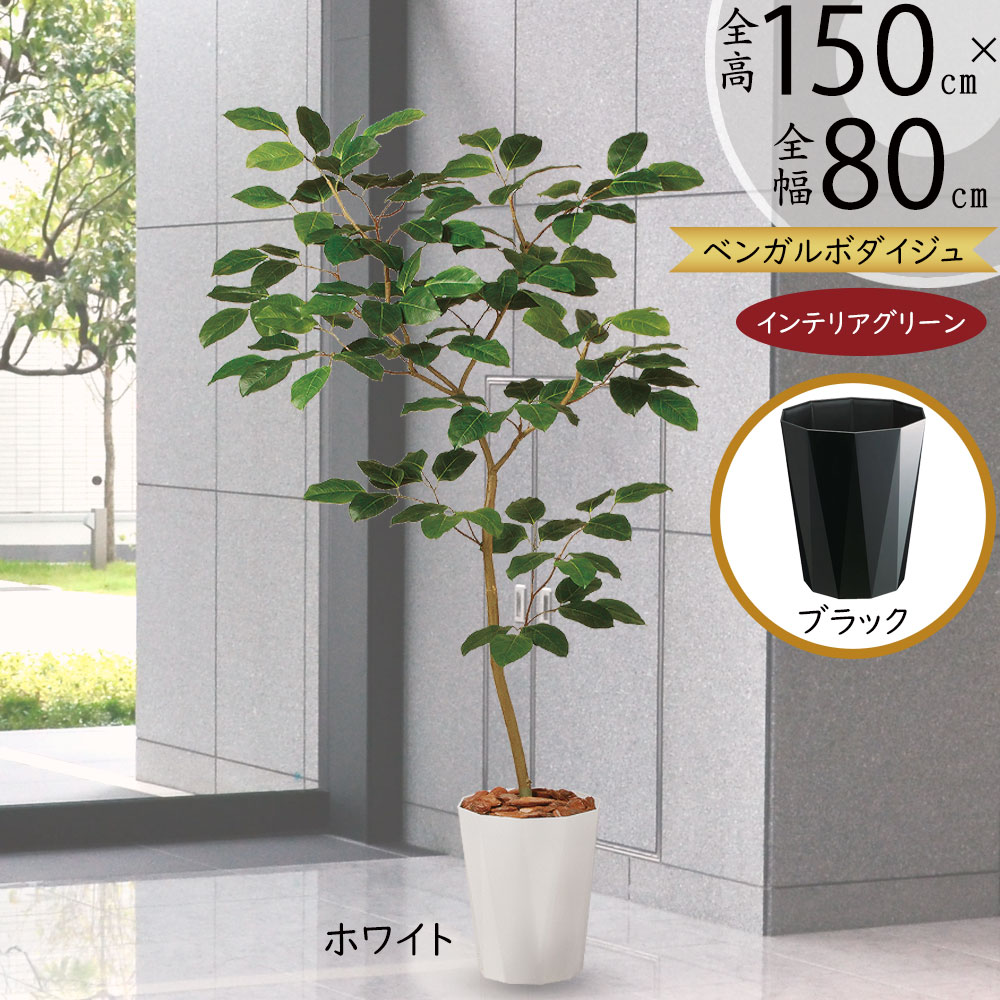 楽天市場】フェイクグリーン おしゃれ 人気 リアル 観葉植物