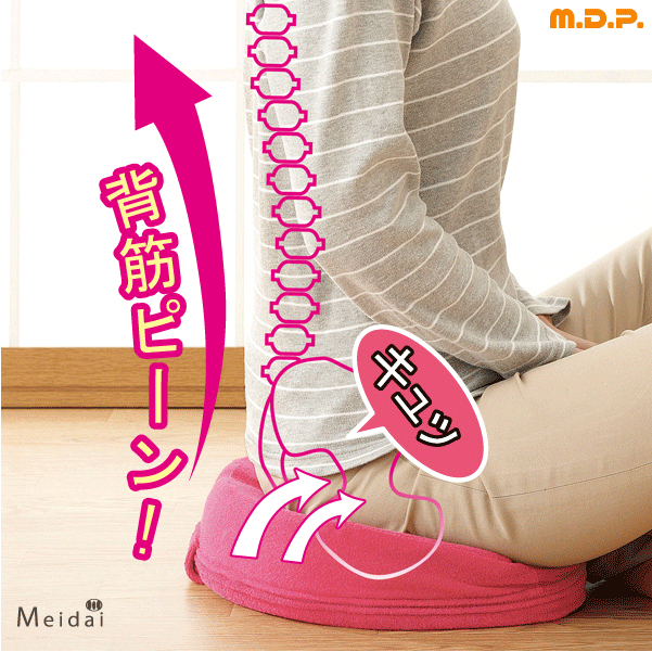 楽天市場】骨盤サポート クッション [ 座るだけで骨盤キュッと