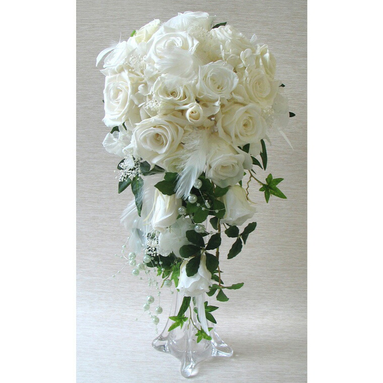 楽天市場】送料無料（一部地域を除く）【只今プレゼント付き