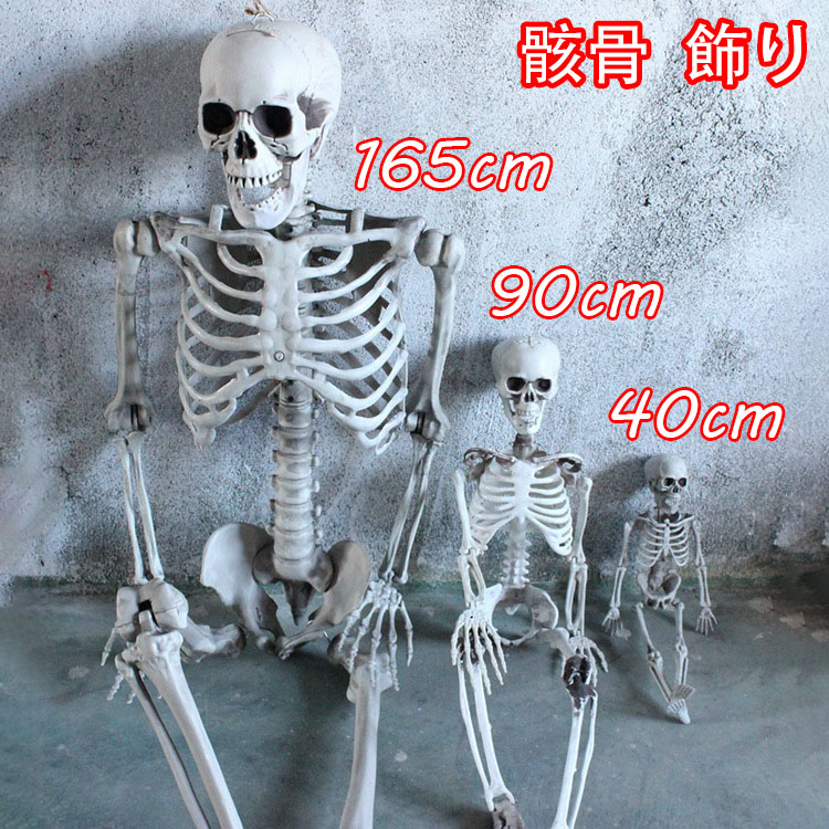 楽天市場】ハロウィン 骸骨 飾り 165cm等身大 スケルトン 怖い モデル