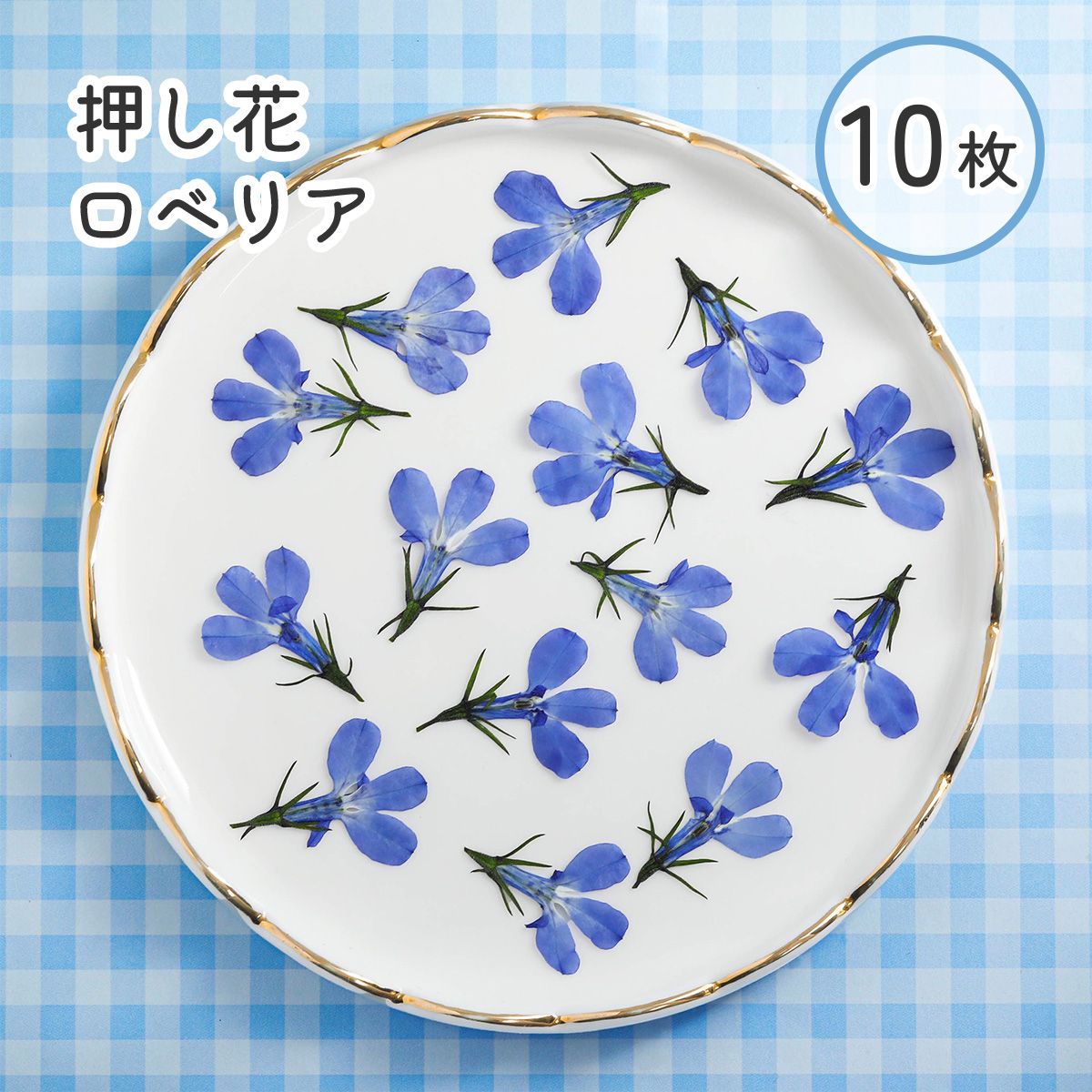楽天市場】押し花 ドライフラワー ロベリア ブルー 10枚 mflower