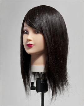 楽天市場】【送料無料】人毛100％カットウィッグ Anna ☆ 毛量たっぷり