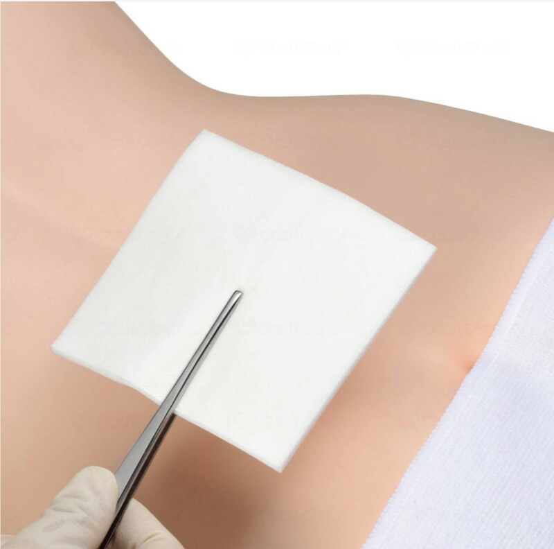 楽天市場】デルマエイド 2号 5.0×7.5cm 100枚 アルケア 創傷用吸収