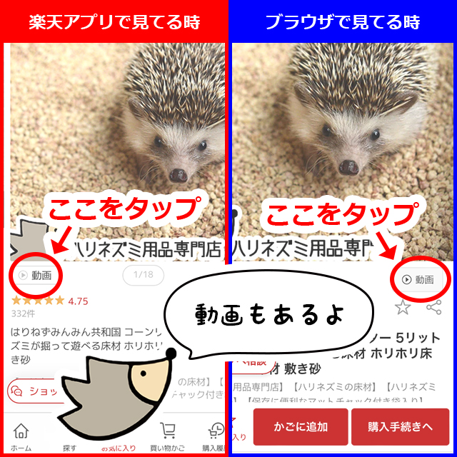 楽天市場】マルカン CASA マルチプレイス ハリネズミ専用ケージ