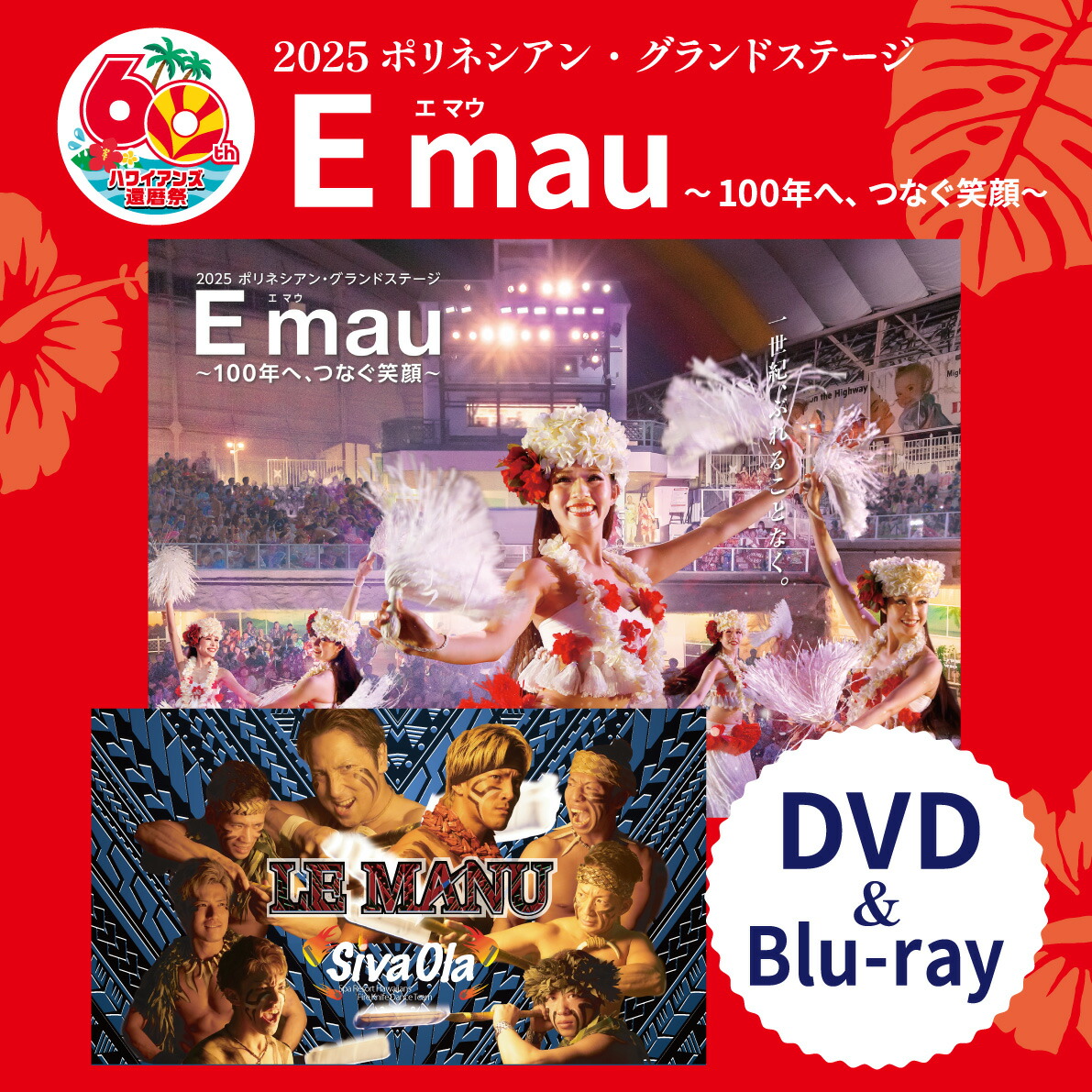 楽天市場】【メール便・送料無料】2025【新作】DVD Blu-ray