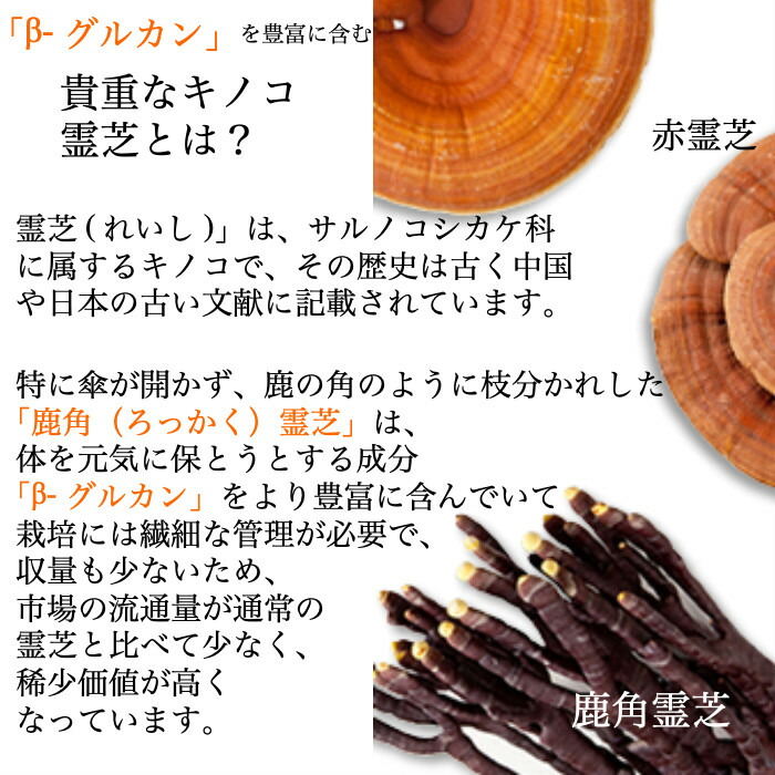 楽天市場】【クーポン配布中】霊芝サプリ 鹿角霊芝カプセル120粒