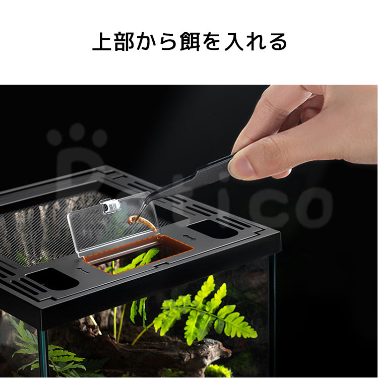 楽天市場】テラリウム 爬虫類 飼育 ケージ 両生類 カメ カニ グラス