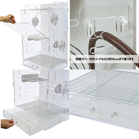 楽天市場】フクロモモンガ専用飼育ケース【ヒーター付6点セット