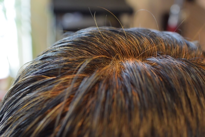 楽天市場】業務用サイズでお得！ ハナヘナナチュラル 500g【手袋付