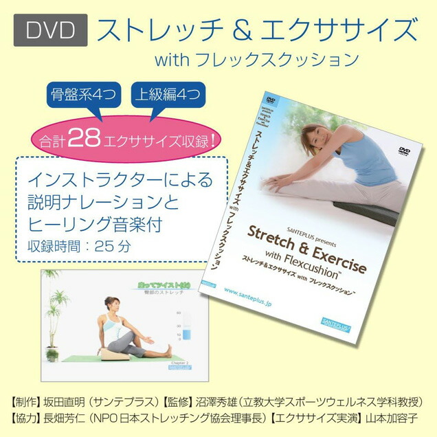楽天市場】サンテプラス フレックスクッション（ 本体のみ、本体＋DVD
