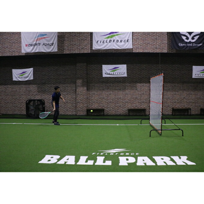 楽天市場】フィールドフォース FIELDFORCE 練習器具 ネット ソフト