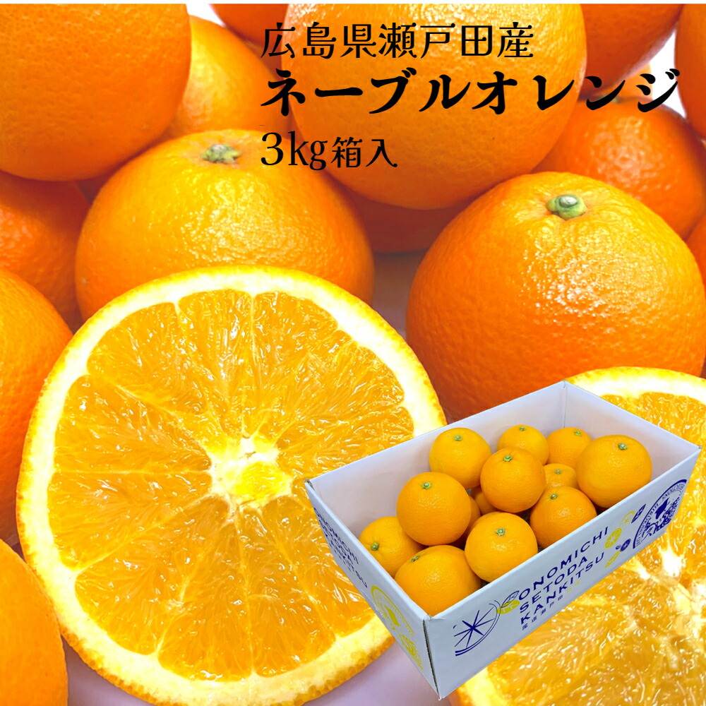 楽天市場】【広島県瀬戸田産ネーブルオレンジ3kg】 箱入り 1〜2級 M