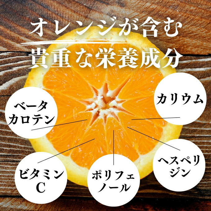 楽天市場】オレンジパウダー 500g×2個 フルーツ みかん 粉末 オレンジ