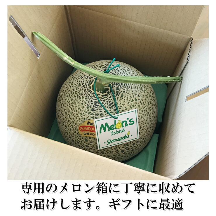 楽天市場】産地直送 山崎メロン園【富良野メロン】赤肉または青肉 中玉
