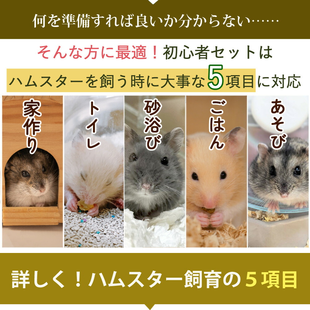 楽天市場】(15点セット) ハムスター 飼育 セット マルカン クリーン