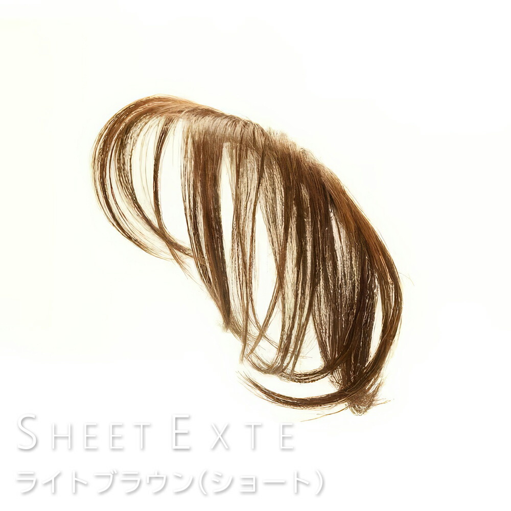 楽天市場】シートエクステ ショート（ライトブラウン） 1枚 【送料無料