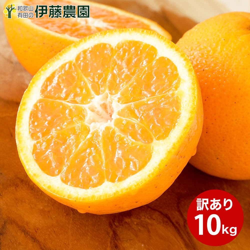 楽天市場】清見 きよみ 訳あり 10kg 送料無料 和歌山 キヨミ 清見