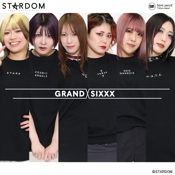 楽天市場】HTML ZERO3×STARDOM スターダム コラボ Tシャツ 半袖 メンズ