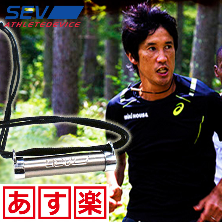 楽天市場】【送料無料】 SEV メタルレール Si Type-Fit ネックレス