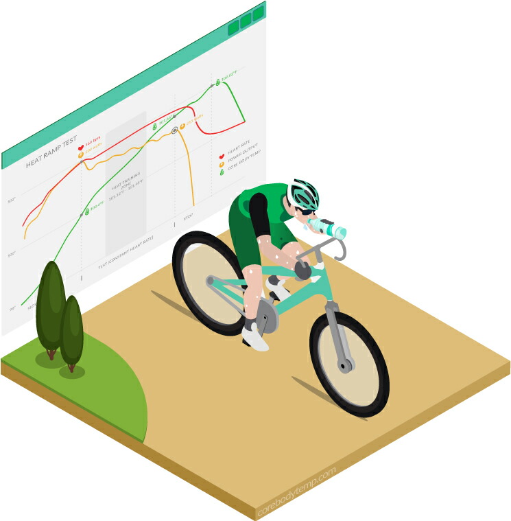 楽天市場】深部温度モニタリングセンサー CORE深部体温 体温計測 体温