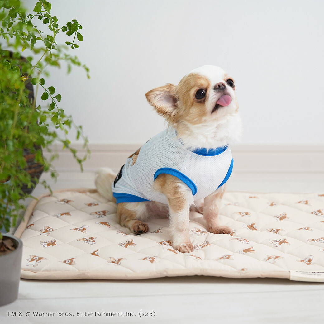 puhdp6様限定商品］バクテリアリキッド×サトウキビマット ?media_id