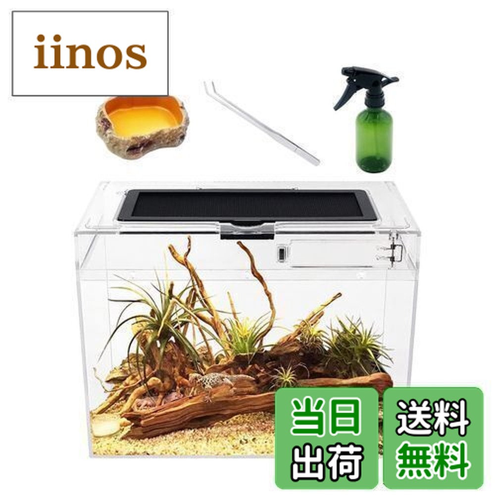 楽天市場】【送料無料】Reptile Growth 爬虫類 ケージ 透明 爬虫類