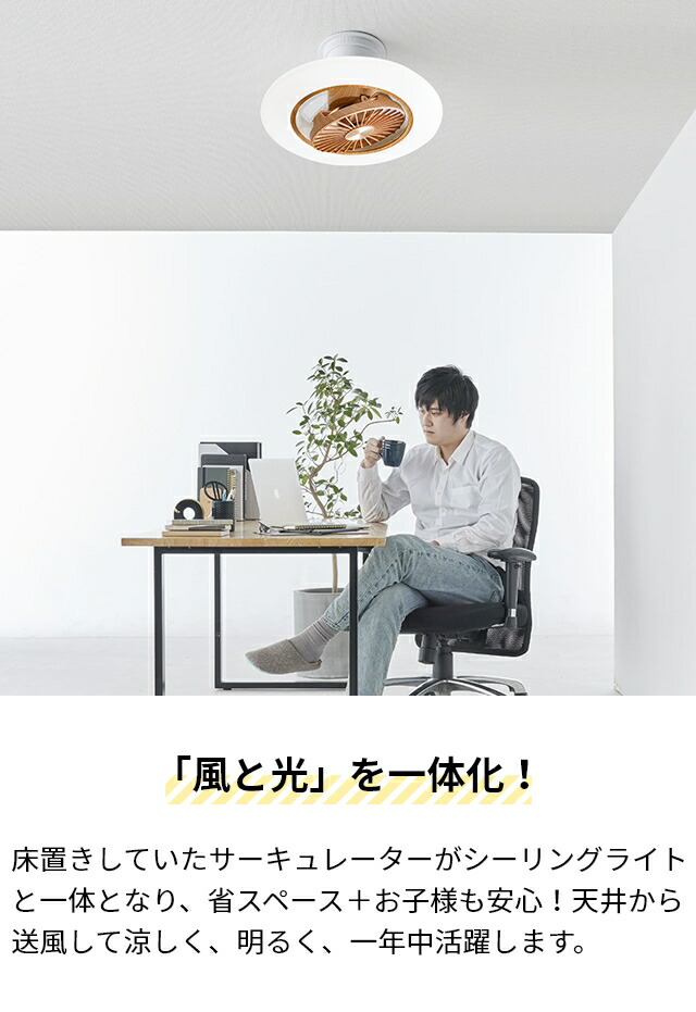 楽天市場】【楽天1位】【選べる豪華特典】 ドウシシャ サーキュライト