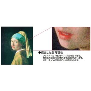 楽天市場】世界の名画シリーズ、プリハード複製画 ピエール