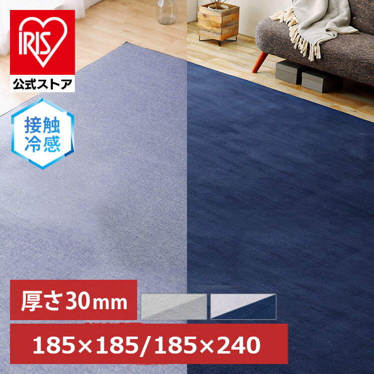 楽天市場】＼リバーシブルで通年使える／【公式】ラグ 2畳 夏用 185