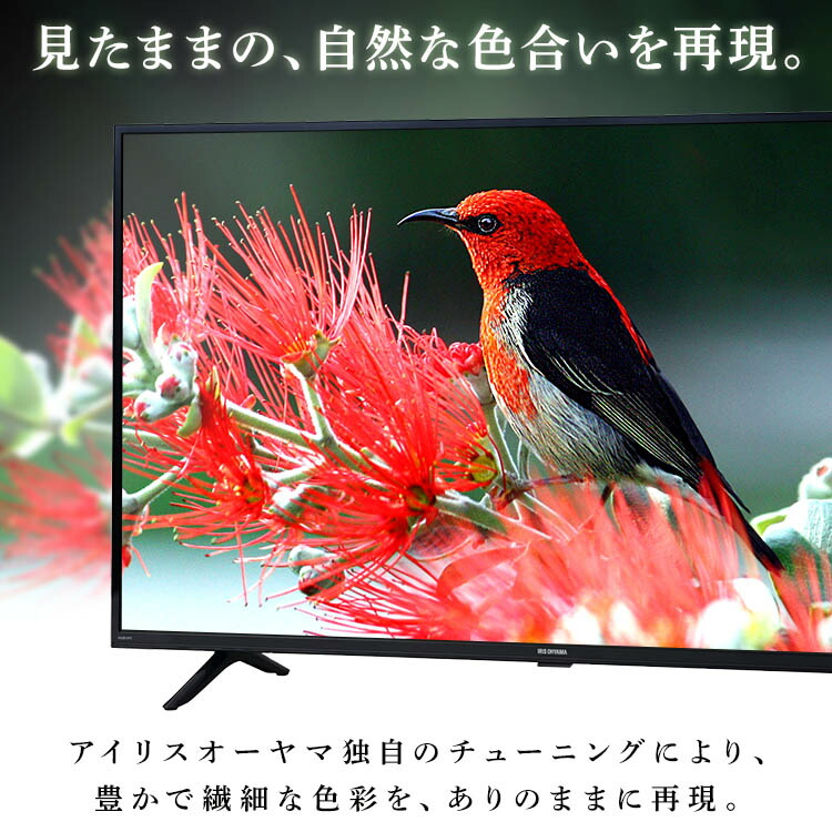 楽天市場】テレビ 24型ハイビジョンテレビ 24WB10PB ブラック 送料無料
