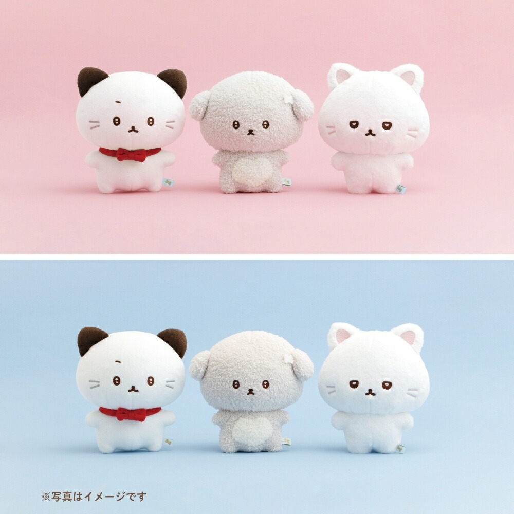 楽天市場】【2025 年間ベストショップ受賞】サンエックス いしよわ