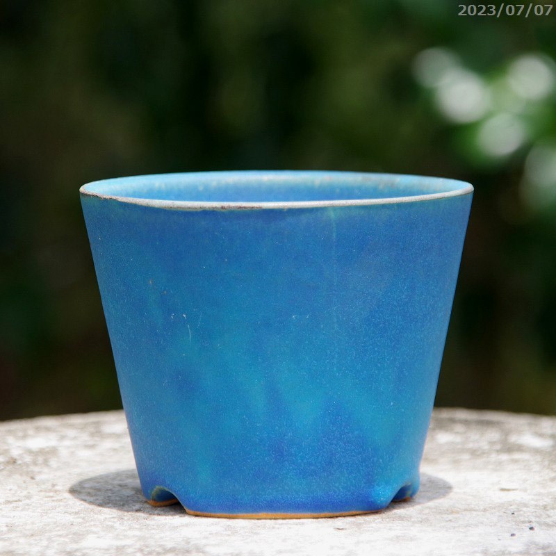 楽天市場】トルコブルー 3.3号 掛分シリーズ サナサービス 信楽焼