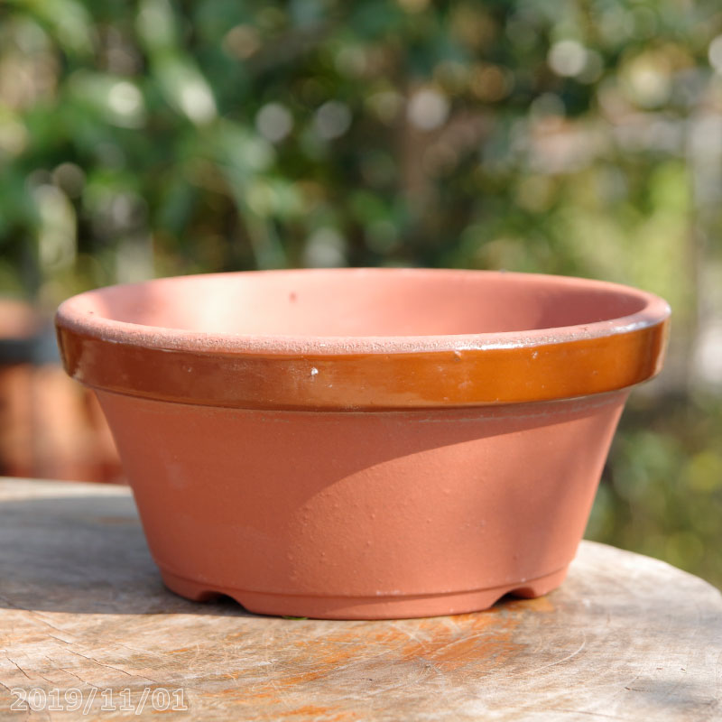楽天市場】常滑焼 植木鉢 駄温鉢 浅型 6号（直径18cm） 【山野草鉢