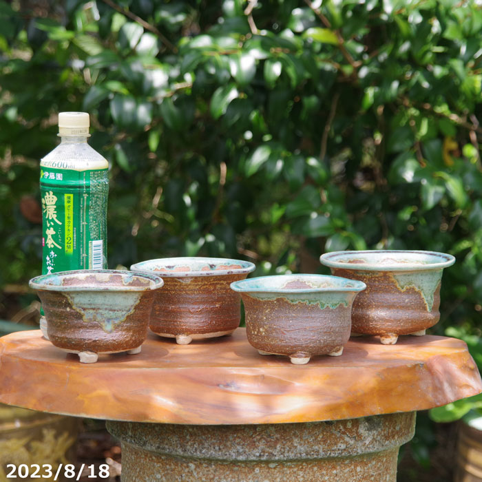 楽天市場】信楽焼 植木鉢 手びねり(ロクロ引き) 南蛮楕円足付鉢（B級品