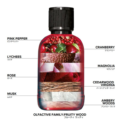 楽天市場】【正規輸入代理店】【DSQUARED2 ディースクエアード