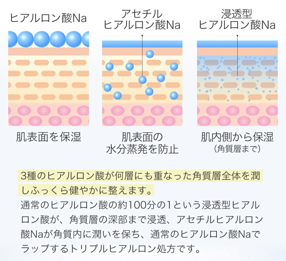 楽天市場】【半額！楽天スーパーSALE限定】【薬用】化粧水 エイジング