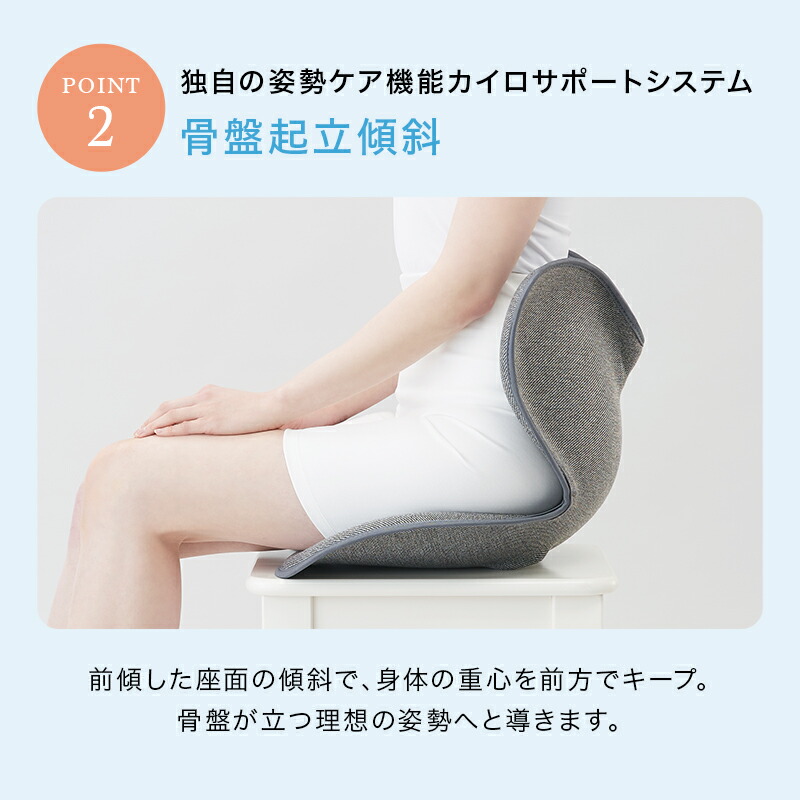 Style 姿勢矯正クッション Style（スタイル） ○ポイント10倍！○ MTG