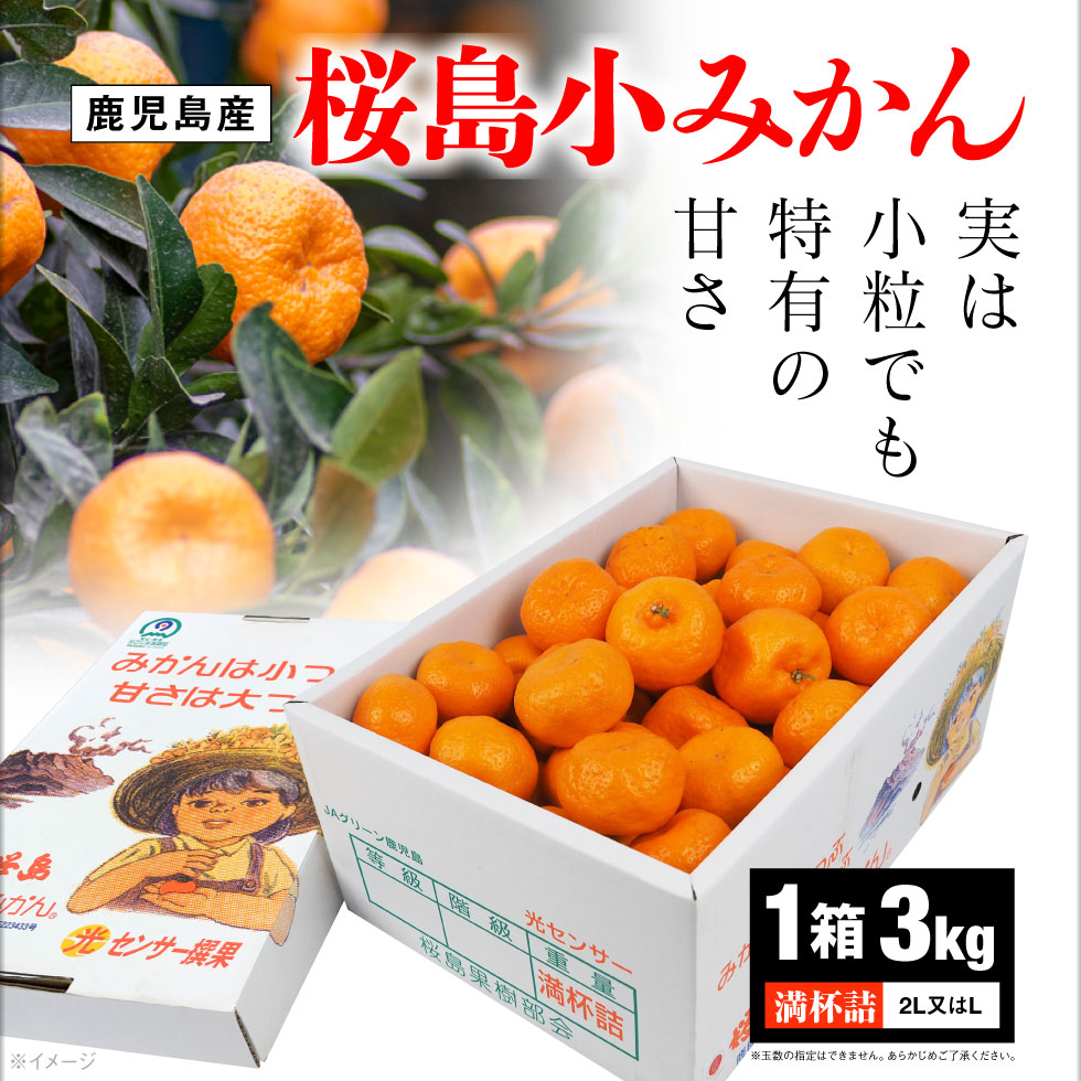 楽天市場】【今年も完売御礼】 みかん 鹿児島 小みかん 桜島 小ミカン