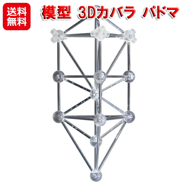 楽天市場】3dカバラ 生命の樹の通販