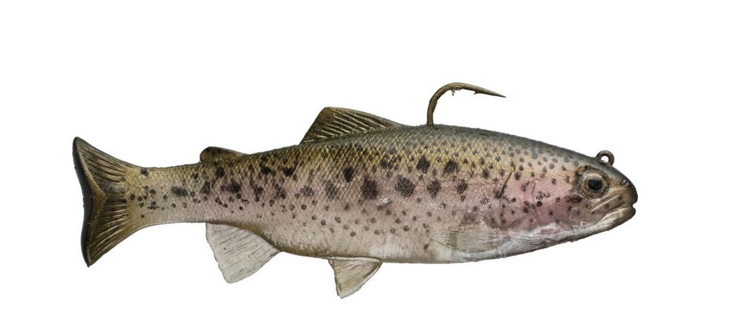 楽天市場】ハドルストン ハドルトラウト 8インチ ROF-5 背針タイプ