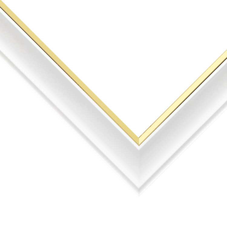 楽天市場】ジグソーパズル 透明ジグソーパズル用フレーム 25×36cm