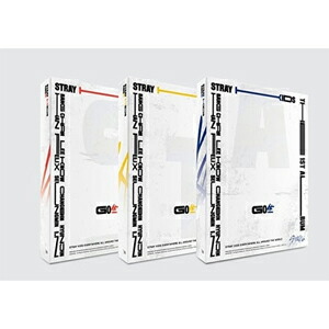 楽天市場】stray kids go生の通販